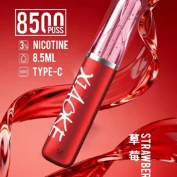 XIAOKE 梟客 8500口拋棄式電子煙 3%尼古丁鹽 8.5ml儲油量 支援Type-C充電 台灣現貨秒發